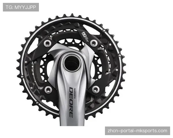 通讯：欧洲高端自行车配件供应链紧张，禧玛诺预告新一轮价格上涨