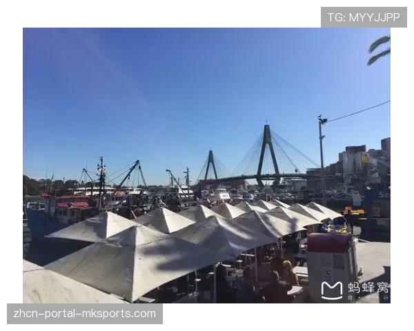 墨尔本站赛道迎来雨水考验，组委会已制定应急方案